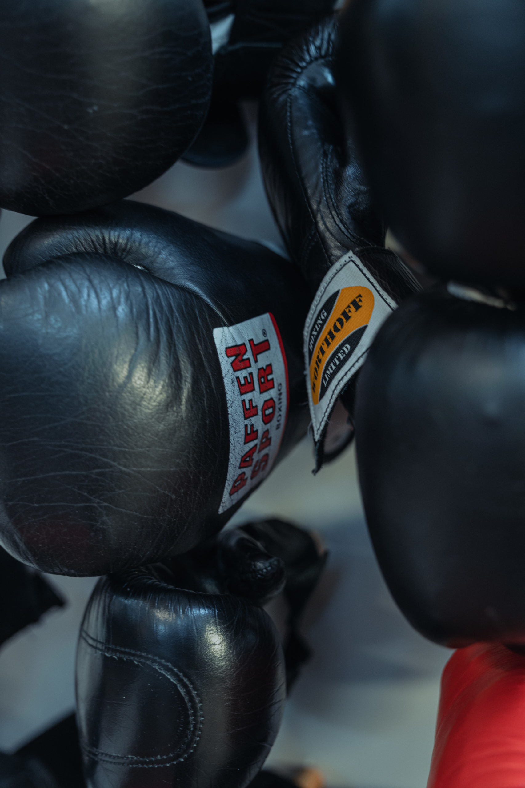 Dein Einstieg in den Boxsport ⬇️ Dein Einstieg in den Boxsport ⬇️